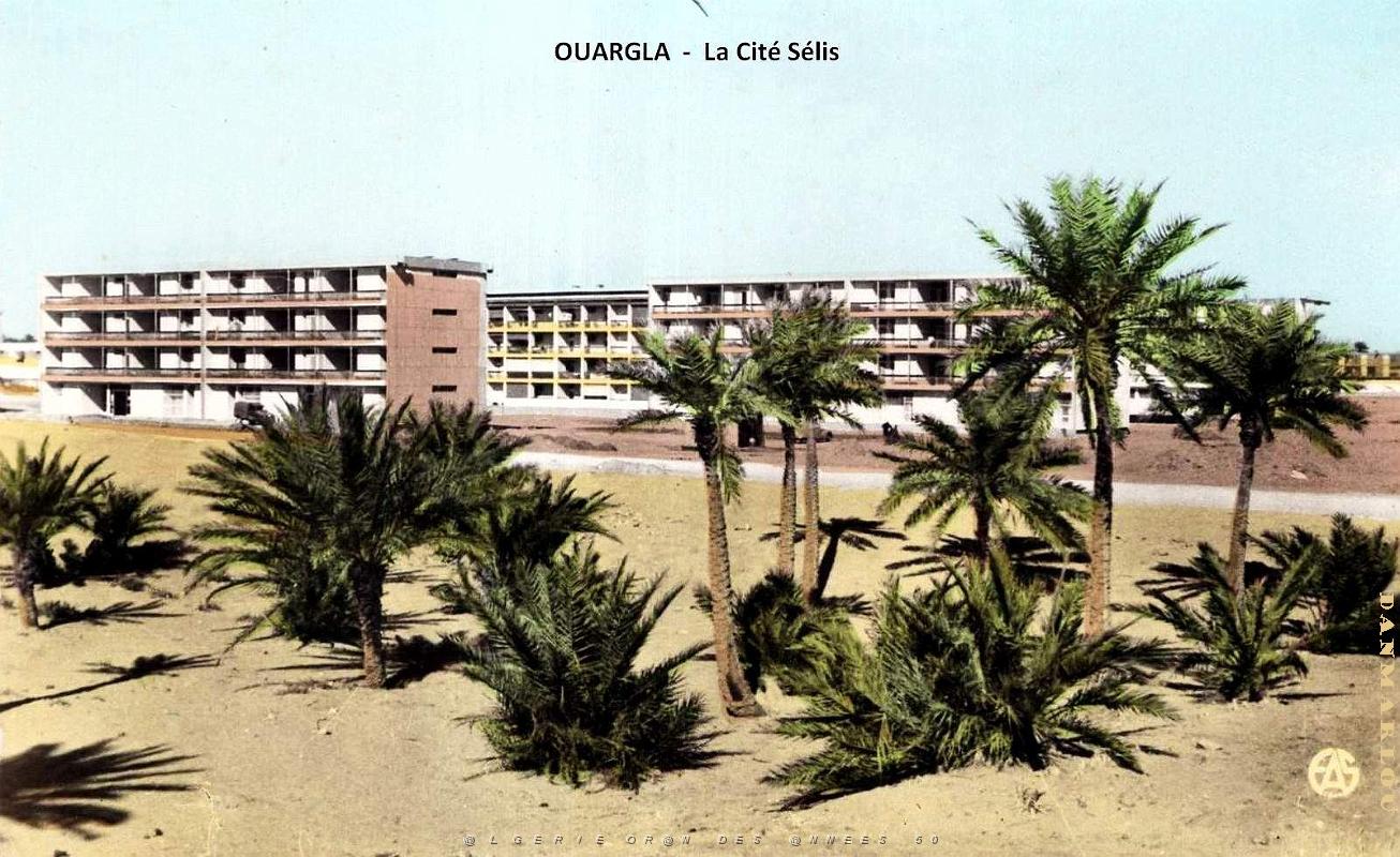 Ouargla - Cite Selis.jpg